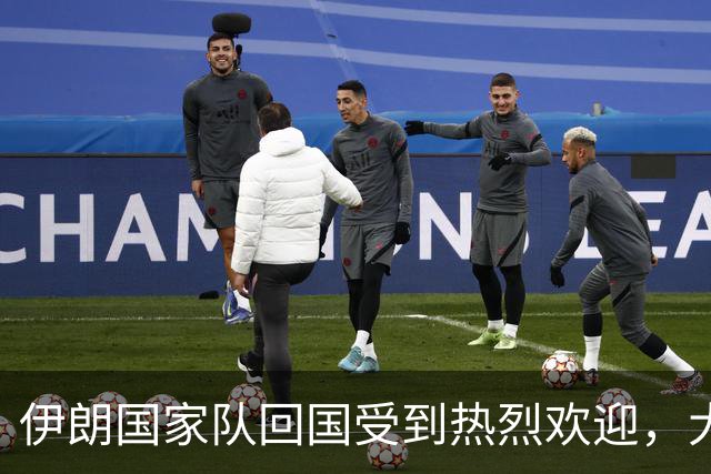 伊朗国家队回国受到热烈欢迎，大批球迷接机